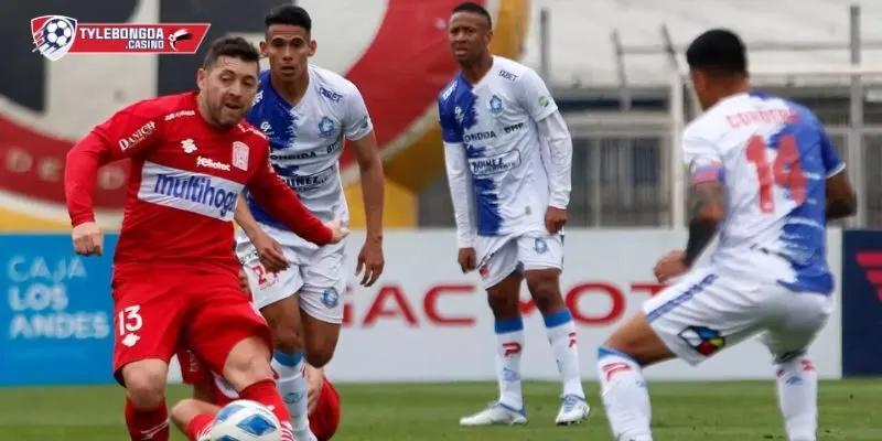 Soi kèo Curico Unido vs Antofagasta trong giải Hạng 2 Chile 2026