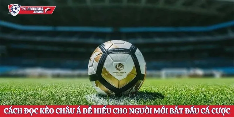 Cách Đọc Kèo Châu Á Dễ Hiểu Cho Người Mới Bắt Đầu Cá Cược