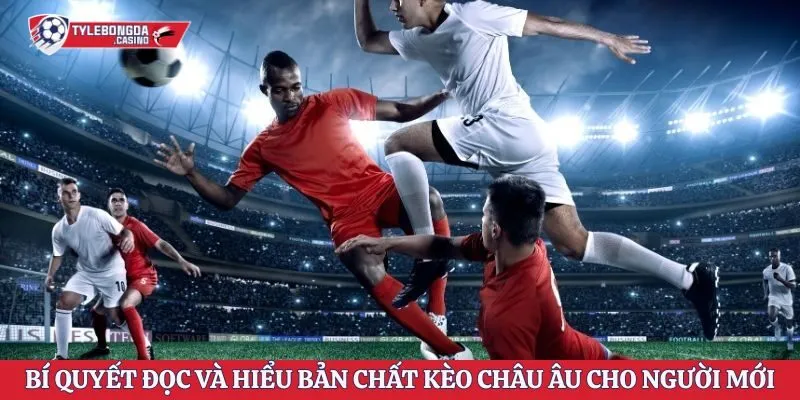 Bí Quyết Đọc Và Hiểu Bản Chất Kèo Châu Âu Cho Người Mới