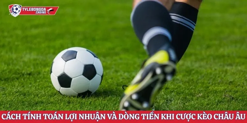 Cách tính toán lợi nhuận và dòng tiền khi cược kèo châu Âu