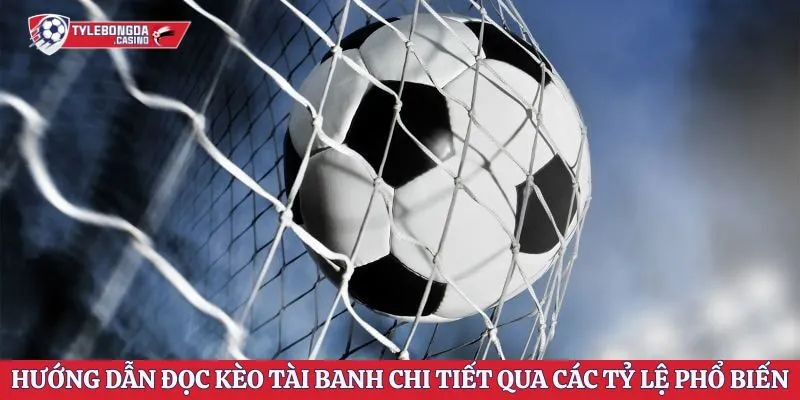Hướng dẫn đọc kèo tài banh chi tiết qua các tỷ lệ phổ biến