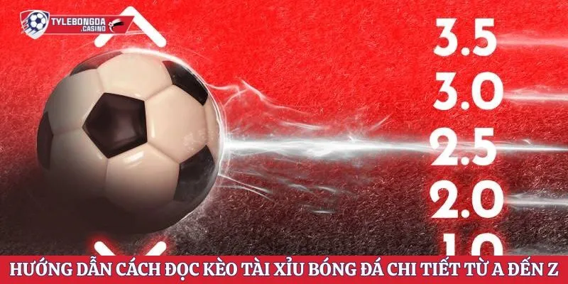 Kèo Tài Xỉu Chuẩn Chỉ Thông Tin Cho Tân Bóng Thủ Trong 2026