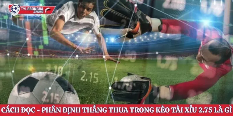 Cách đọc và phân định sự thắng thua trong kèo tài xỉu 2.75 là gì