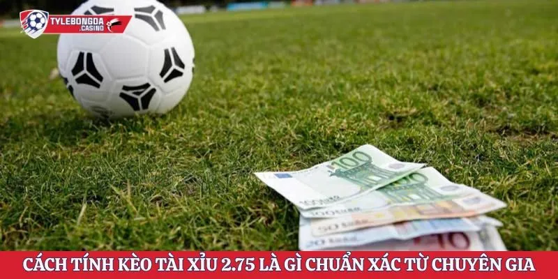 Cách tính kèo tài xỉu 2.75 là gì chuẩn xác từ chuyên gia