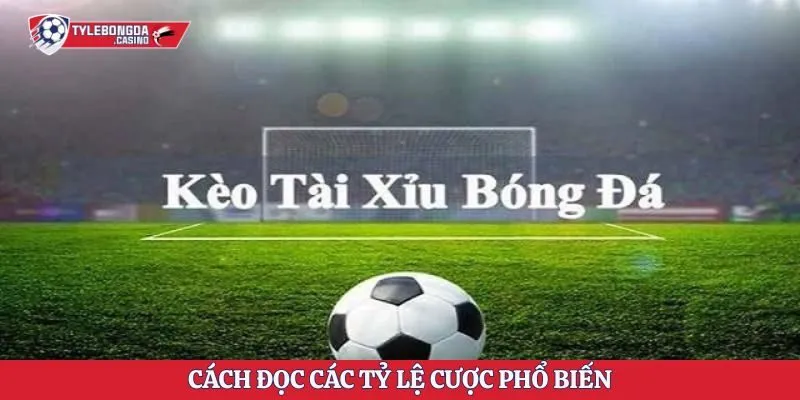Cách đọc các tỷ lệ cược phổ biến trên bảng nhà cái