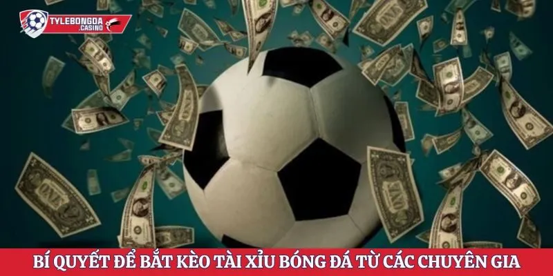 Bí quyết để bắt kèo tài xỉu bóng đá từ các chuyên gia